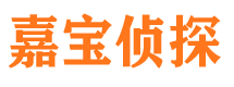 齐河市婚外情调查